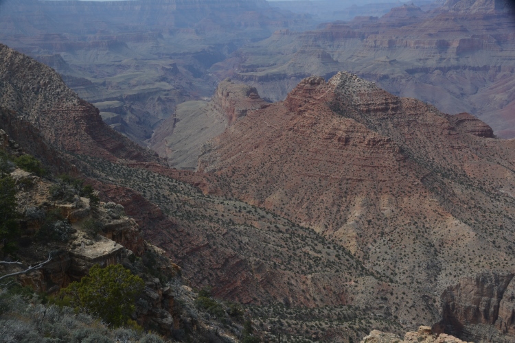 grand canyon south rim
